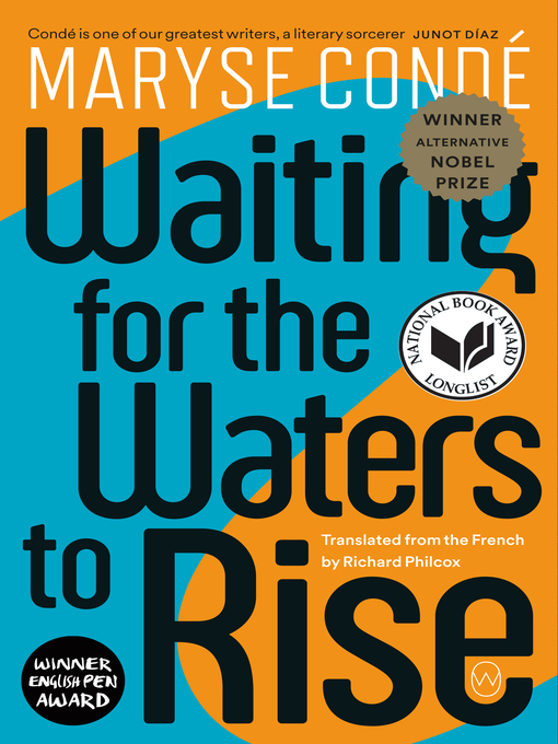 Cover image for Waiting for the Waters to Rise
